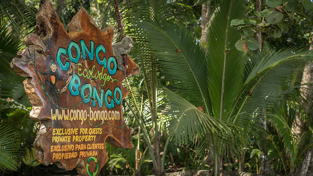 Congo Bongo Lodge Costa Rica