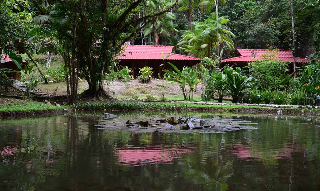 La Esquina Rainforest Lodge, Suedpazifik