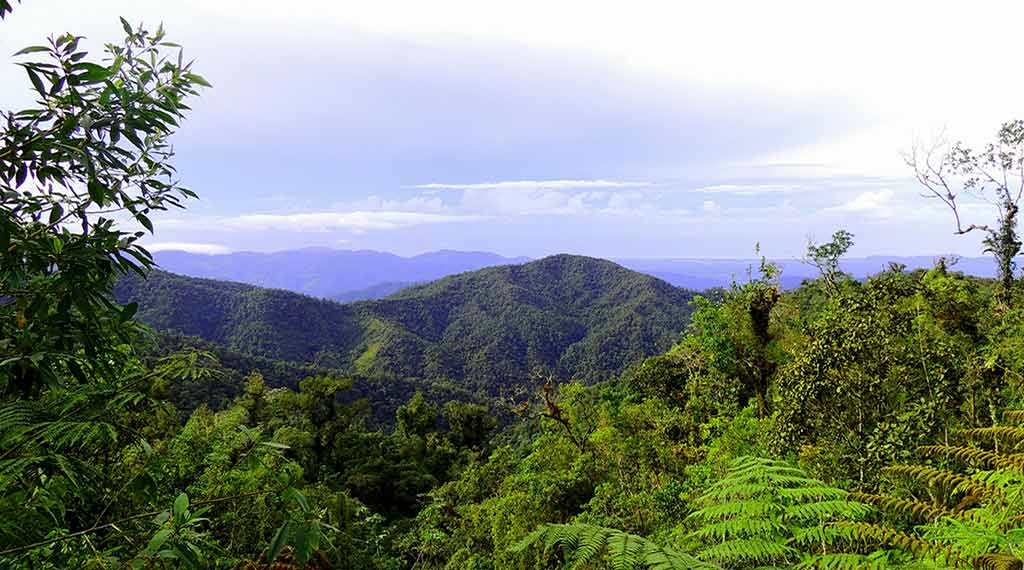 La ruta del Quetzal- Wanderung durch Costa Rica